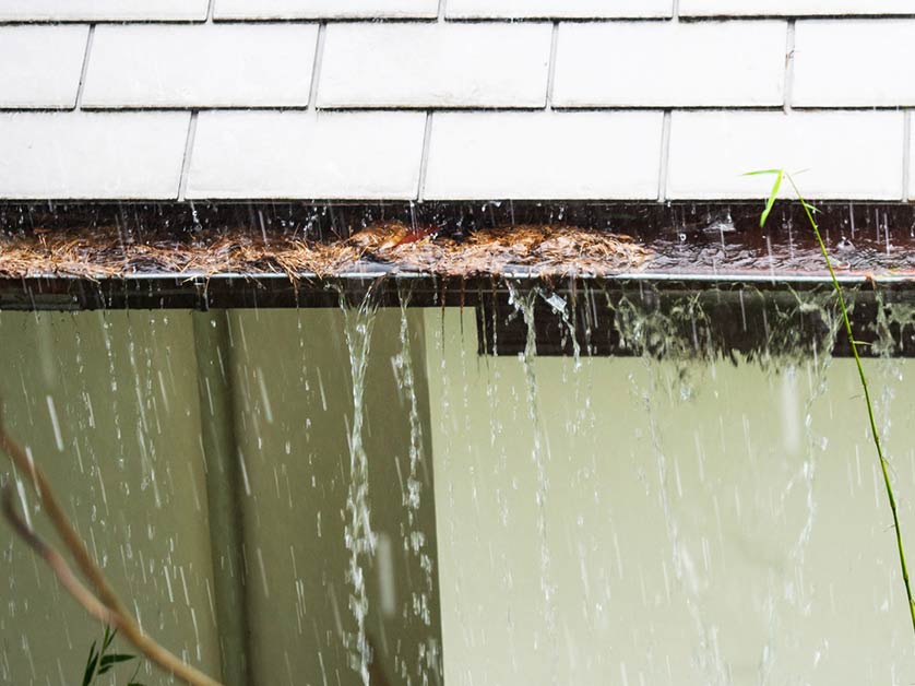 How Clogged Gutters Can Damage Your Roof